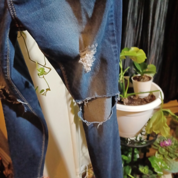 MUD 11 Distressed Jean's EUC - Picture 5 of 7